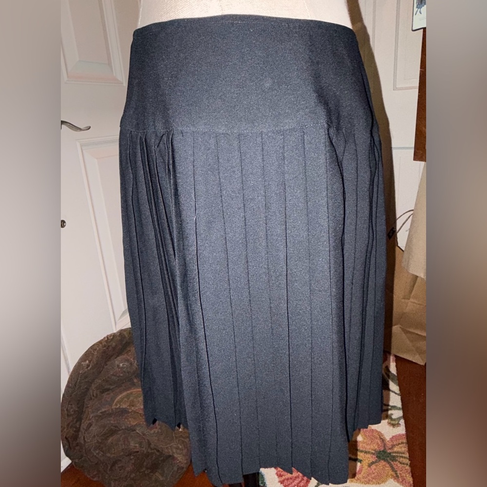 Banana Republic Black Pleated Midi Skirt